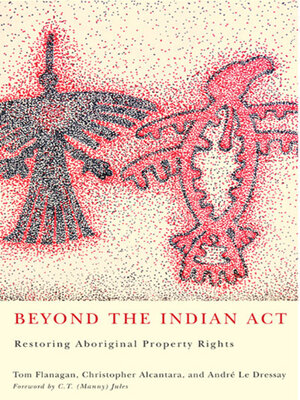 cover image of Beyond the Indian Act